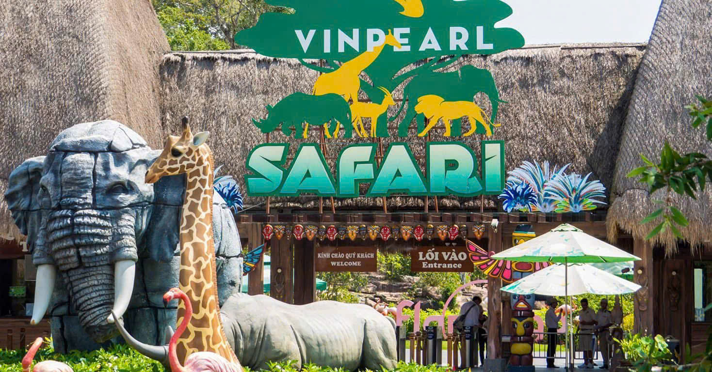 VIN SAFARI