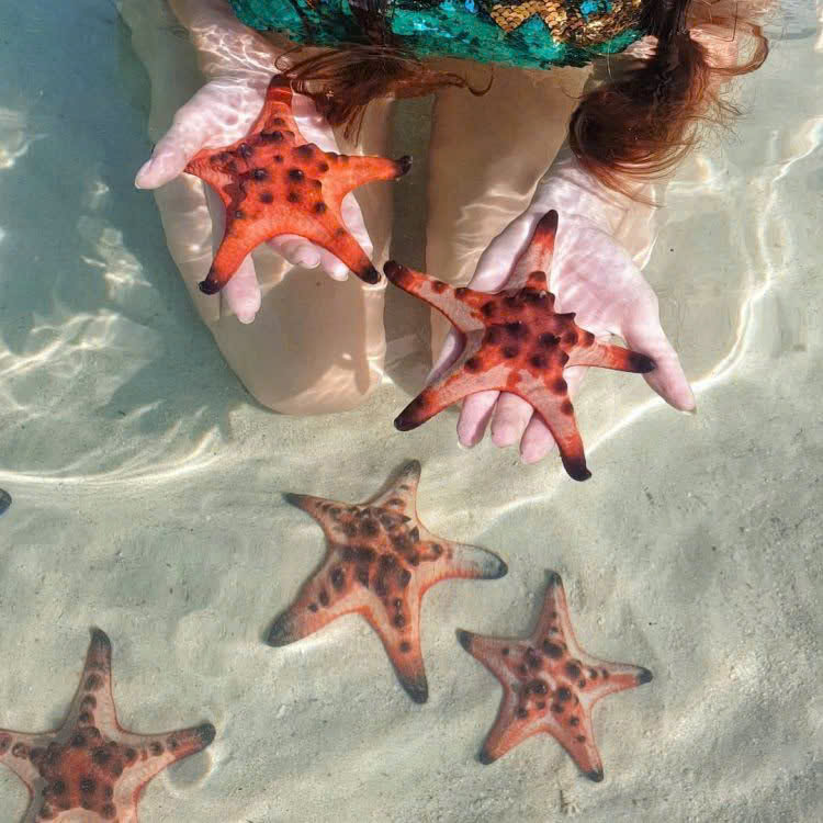 Starfish beach - Rach Vem
